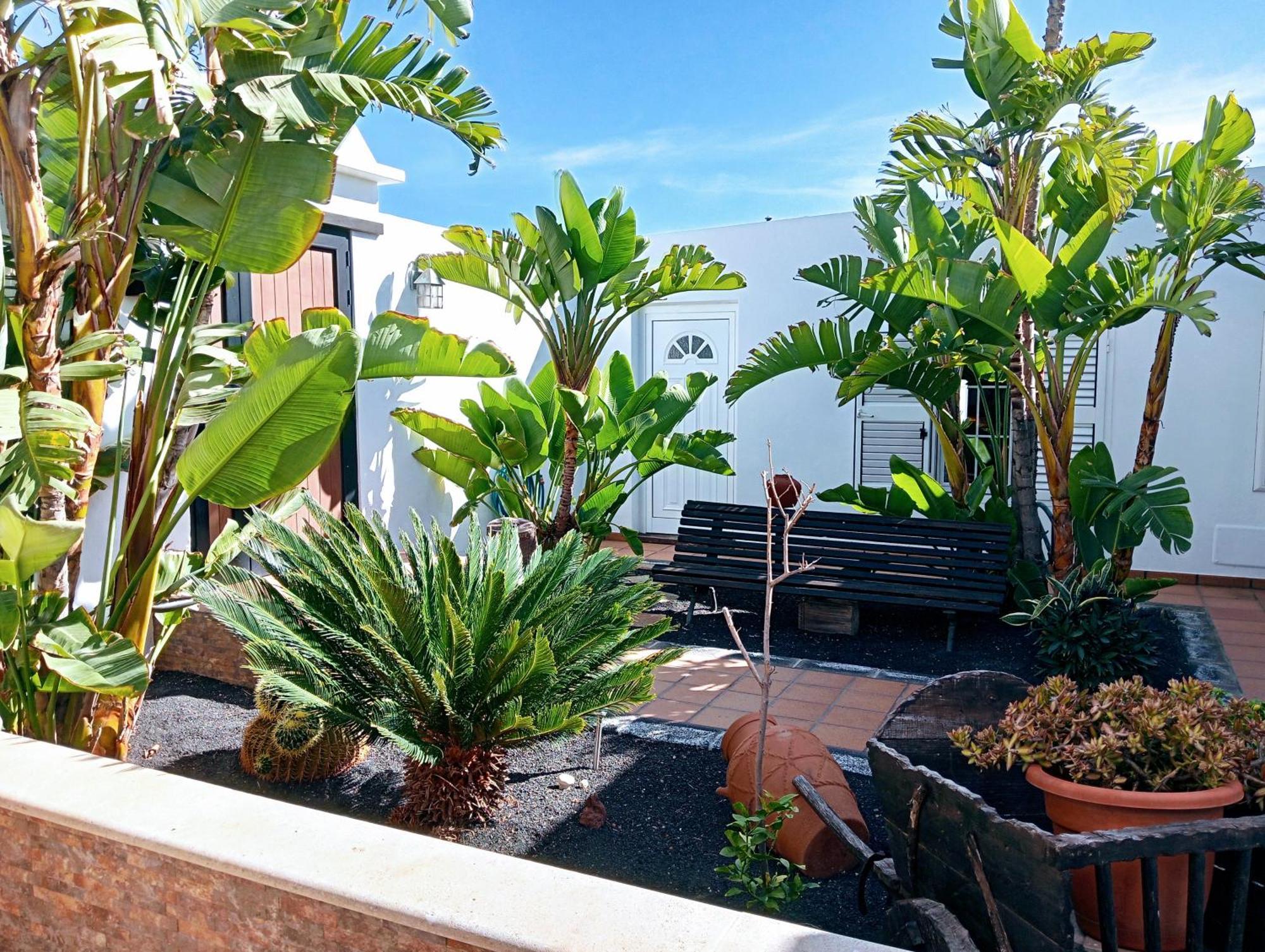 Casa Strelitzia Villa Nazaret Luaran gambar
